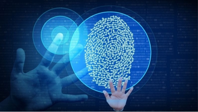 Biometric fingerprint and palm recognition