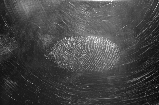 Precise Biometrics, biometric data collection